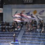 ［６］イルカのジャンプを撮るコツ！