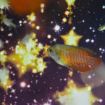 ［６］ニコンカレッジに参加する度に感じる、練習の大切さ！