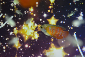 ［６］ニコンカレッジに参加する度に感じる、練習の大切さ！