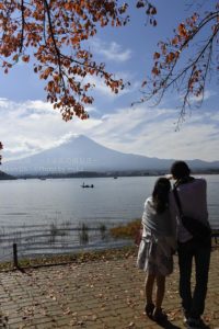 ［６］真っ赤に色づく紅葉の下で、日本一の富士山を眺める