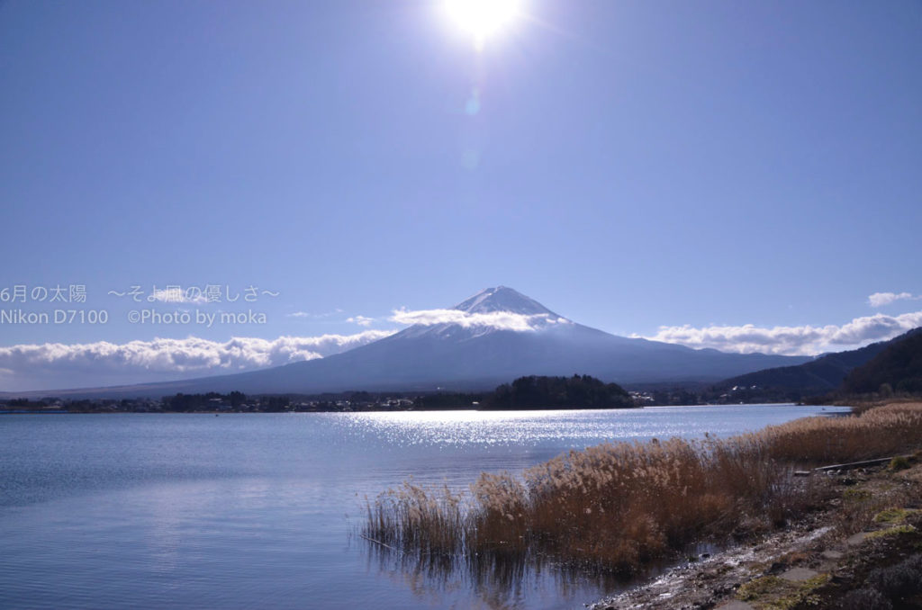 ［６］２０１８年　謹賀新年