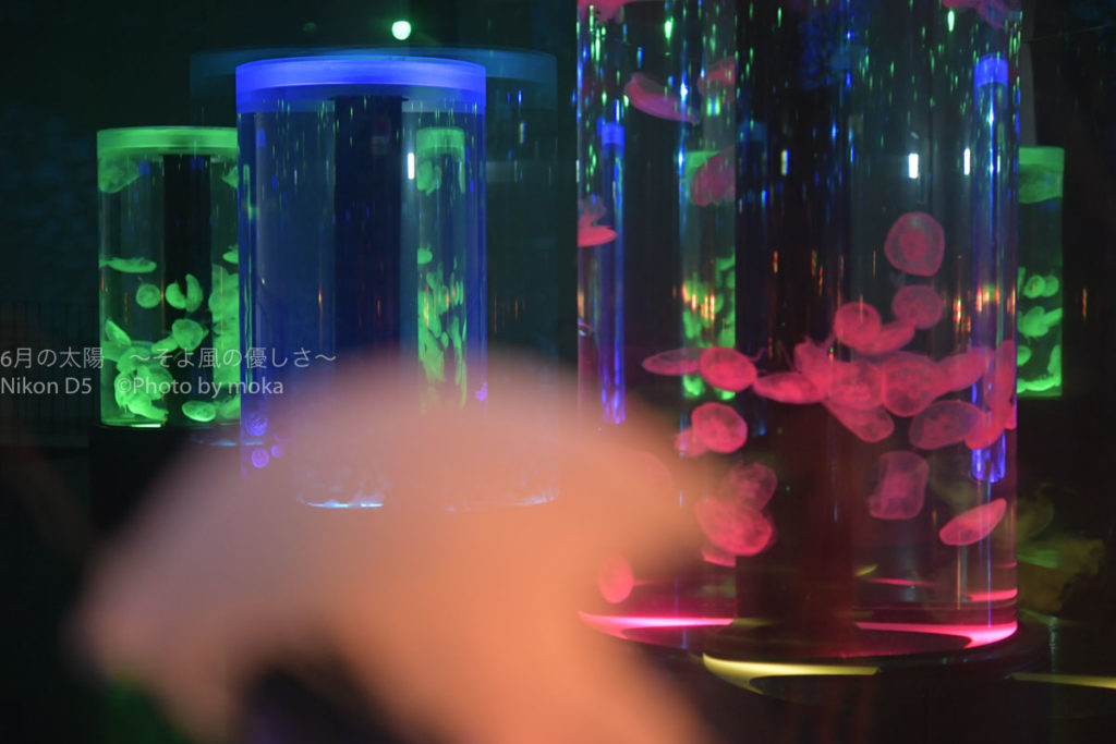 ［６］ニコンカレッジの教えを守りつつ、オリジナリティを出す！！