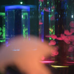 ［６］ニコンカレッジの教えを守りつつ、オリジナリティを出す！！