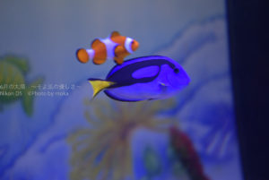 ［６］ニコンのマクロレンズ、AF-S Micro NIKKOR 60mmの実力は？