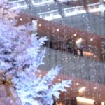 ［６］東京丸の内、KITTEのクリスマスツリー