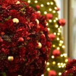 ［６］東京丸の内、丸ビルのクリスマスツリーを撮影！！