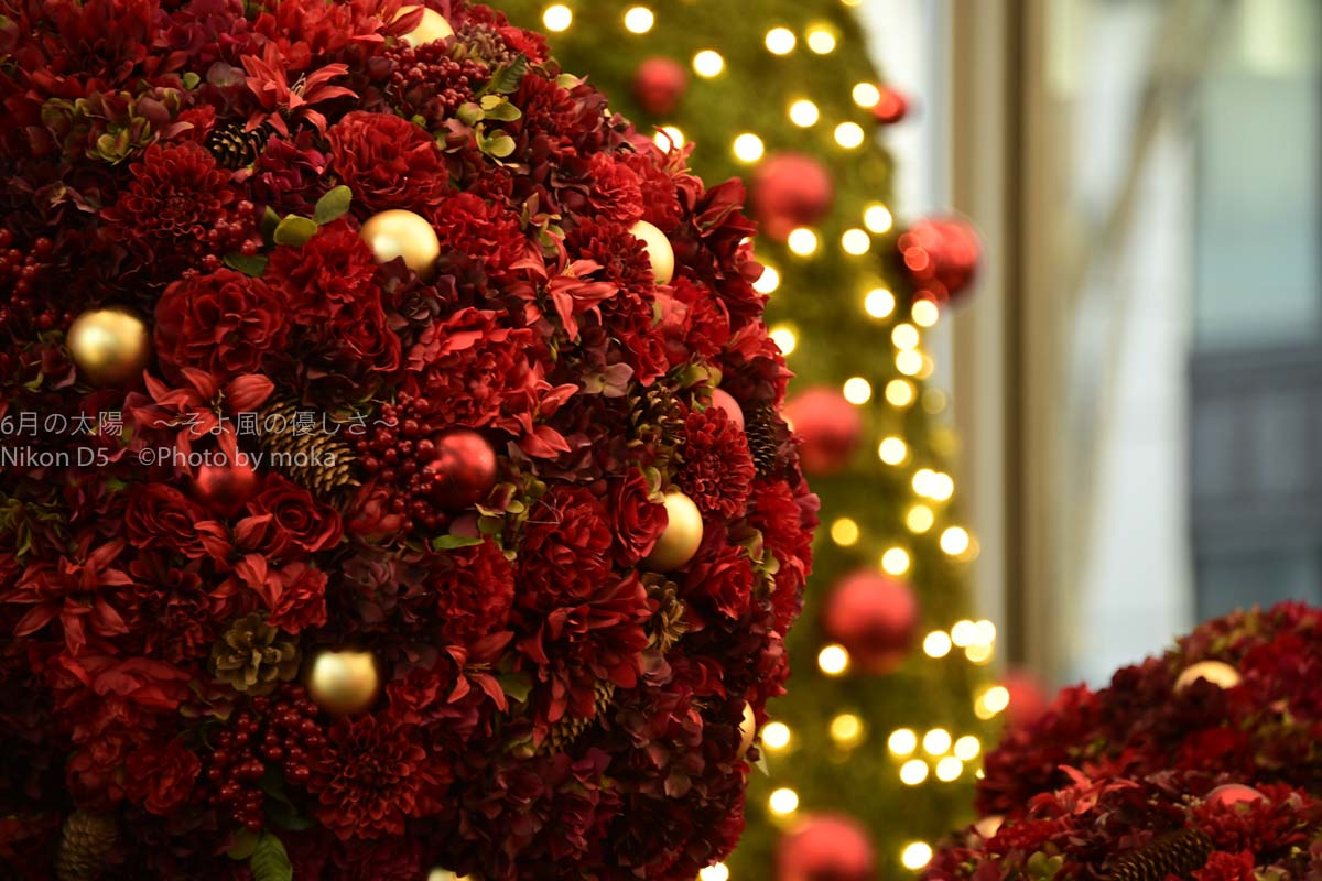 ［６］東京丸の内、丸ビルのクリスマスツリーを撮影！！