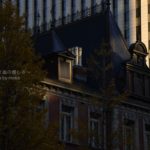 ［６］冬の西日が作り出す、光の演出を写し撮る！！