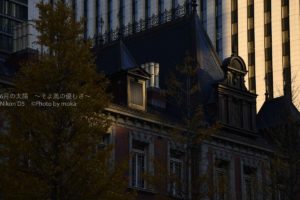 ［６］冬の西日が作り出す、光の演出を写し撮る！！