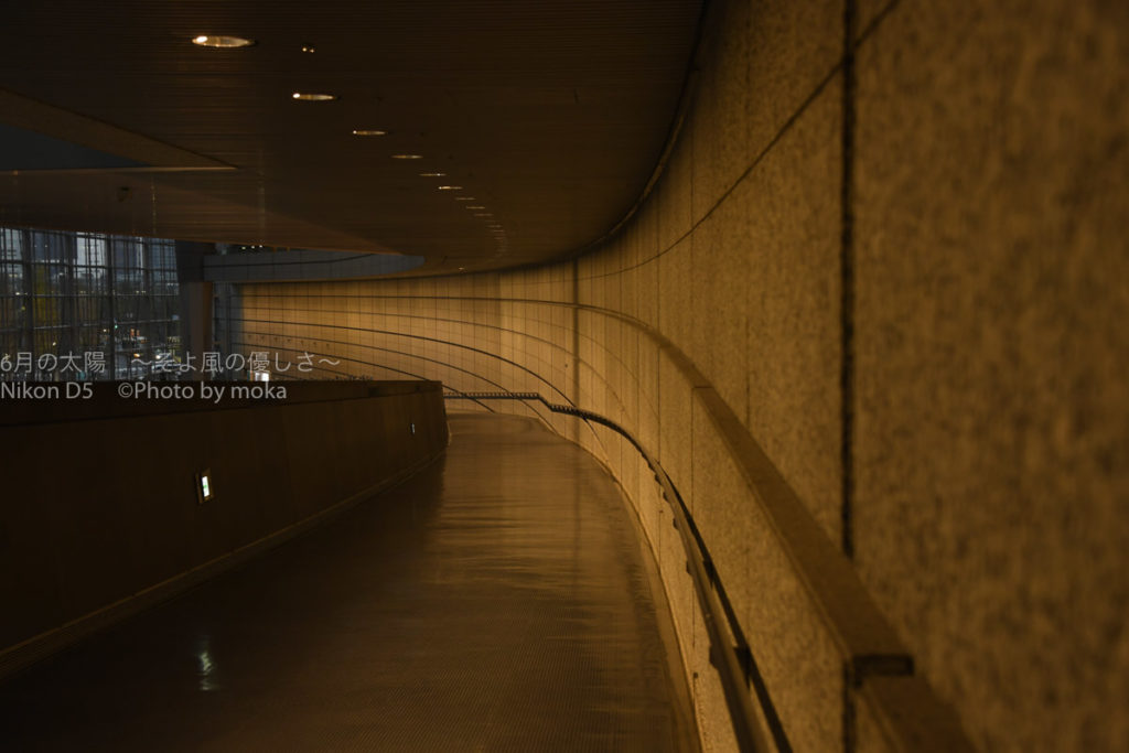 ［６］同じ場所で、季節と時間を変えて撮り比べ！！