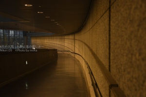 ［６］同じ場所で、季節と時間を変えて撮り比べ！！