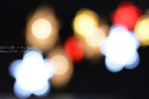 ［６］クリスマス用にキラキラ撮影！！