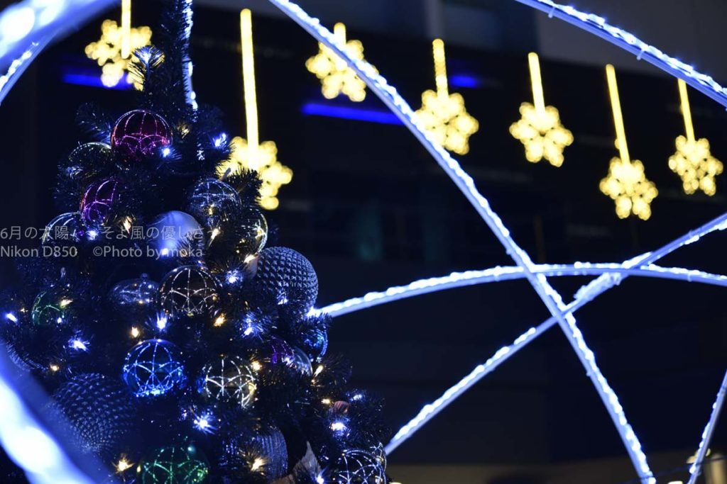 ［６］クリスマスは過ぎたけど、今年最後のクリスマスツリー