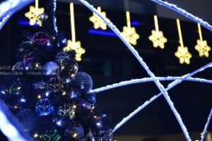 ［６］クリスマスは過ぎたけど、今年最後のクリスマスツリー