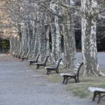 ［６］新宿御苑で見つけた冬景色