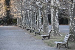 ［６］新宿御苑で見つけた冬景色