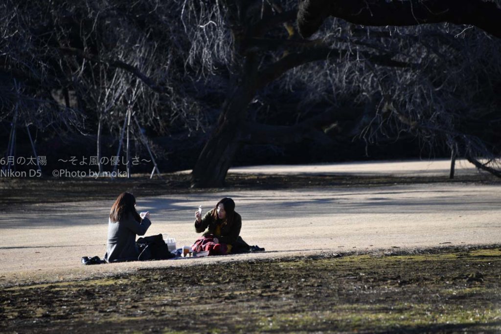 ［６］カメラを持って冬の新宿御苑を散歩！！