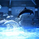 ［６］Nikon D850を使って水族館で動きモノの撮影