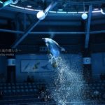 ［６］アクアパーク品川のナイトショーでイルカを撮影