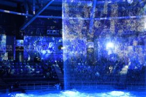 ［６］夜の水族館の雰囲気に酔いしれる（笑）