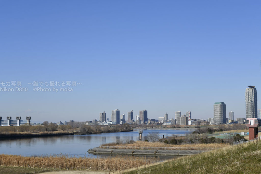 ［６］都市農業公園で見あげてみた冬の空の青