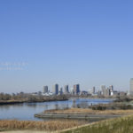 ［６］都市農業公園で見あげてみた冬の空の青