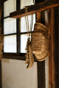 ［６］ニコンの２台のカメラで同じ被写体で撮り比べ！？