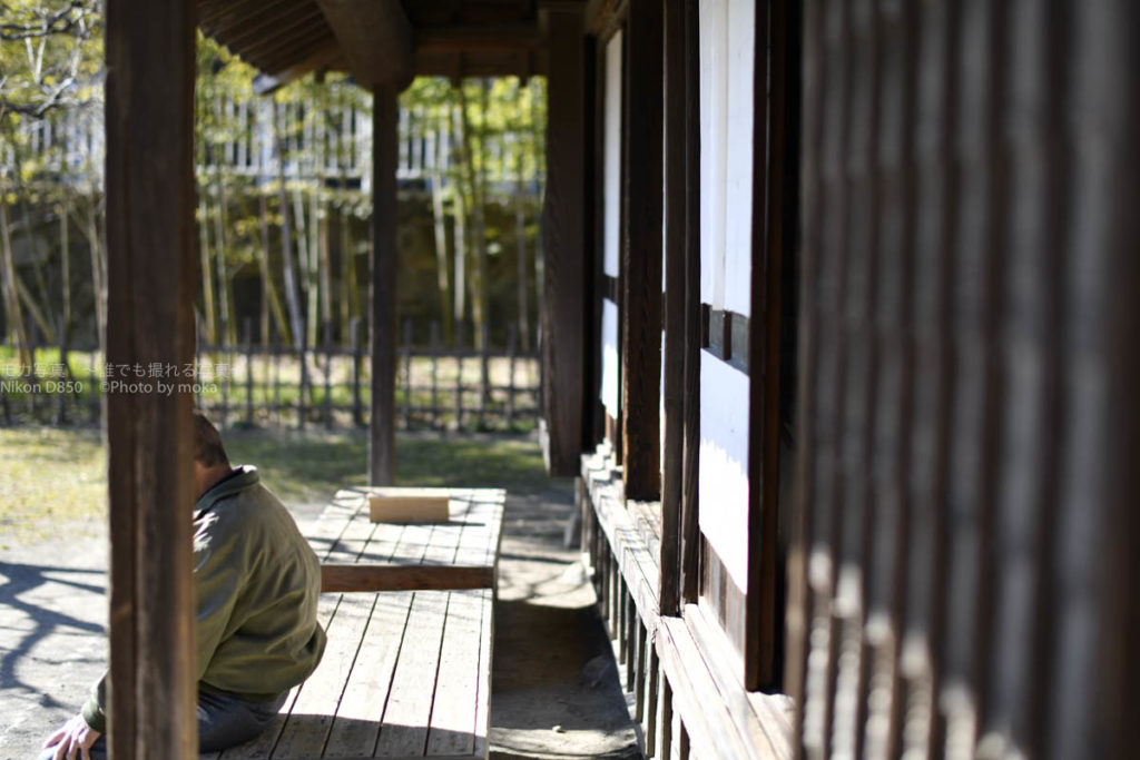 ［６］寒い冬に縁側で日差しをいっぱい浴びて！！