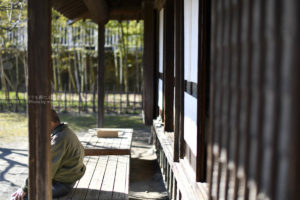 ［６］寒い冬に縁側で日差しをいっぱい浴びて！！