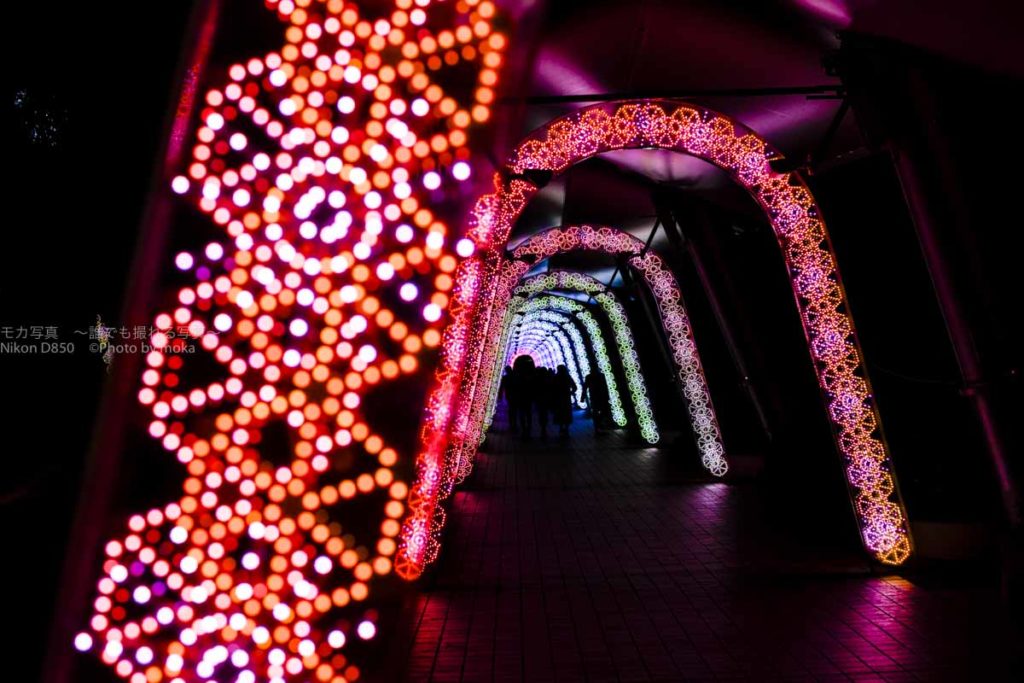 ［６］光のトンネルの先にある光のドーム！？