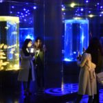 ［６］夜の水族館で人間観察！？