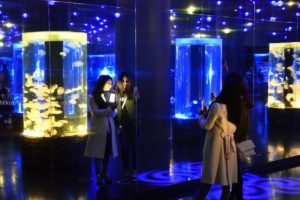 ［６］夜の水族館で人間観察！？