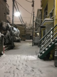 ［６］２０１８年の大雪の記録（笑）