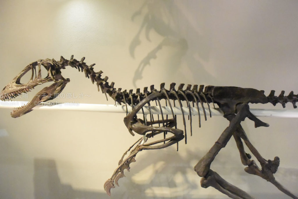 ［６］恐竜、ディノニクスの丸焼き！？