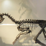 ［６］恐竜、ディノニクスの丸焼き！？