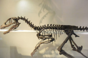 ［６］恐竜、ディノニクスの丸焼き！？