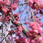 ［６］春の足音を全身で感じた日曜日！！