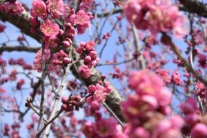 ［６］春の足音を全身で感じた日曜日！！