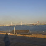 ［６］Nikon D850の自然光オート設定で写真を撮る！！