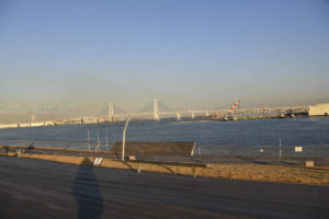 ［６］Nikon D850の自然光オート設定で写真を撮る！！