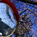 ［６］春の景色を写しこんだミラーの世界に注目！！