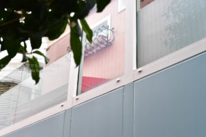 ［６］神楽坂の路地裏で見つけた色どり