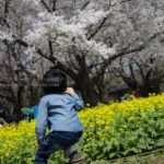 ［６］春の日差しの中で哀愁ただよわせる後ろ姿