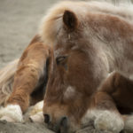 ［６］ニコンカレッジの実習で撮った作品の講評に参加！！