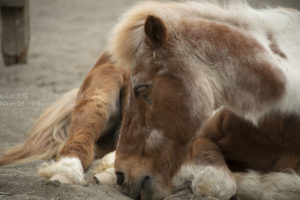 ［６］ニコンカレッジの実習で撮った作品の講評に参加！！