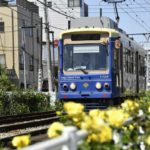 ［６］都電荒川線と春の薔薇