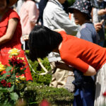 ［６］旧古河庭園の薔薇の花とカメラ女子
