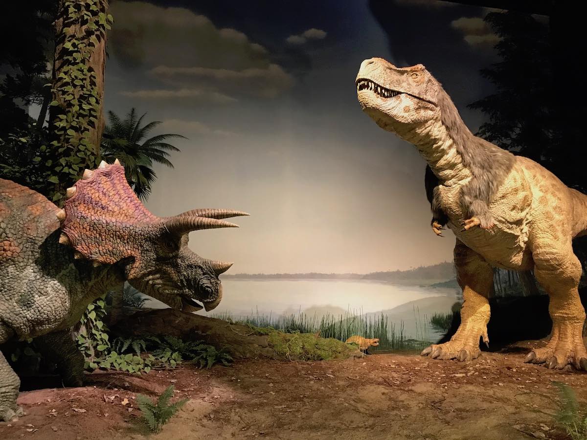 ［６］ミュージアムパーク茨城県自然博物館で出会える恐竜