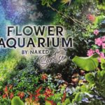 ［６］仕事帰りに「maxellアクアパーク品川」を楽しむ！