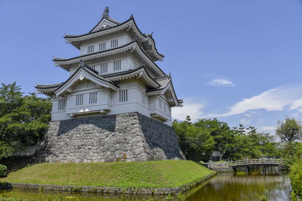 ［６］初夏の週末は、「古代蓮」と「のぼうの城」をハシゴしよう！！